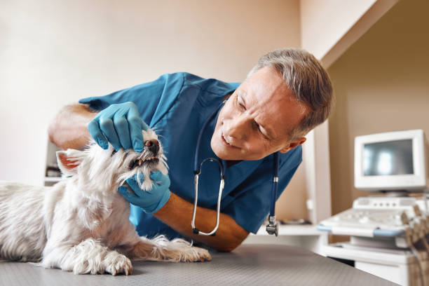 Best Emergency Tooth Extraction in St Matthews, KY