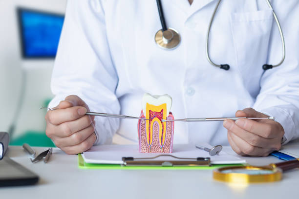 Best Walk-In Emergency Dentist in St Matthews, KY